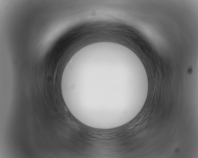 X0000100420431200806060952