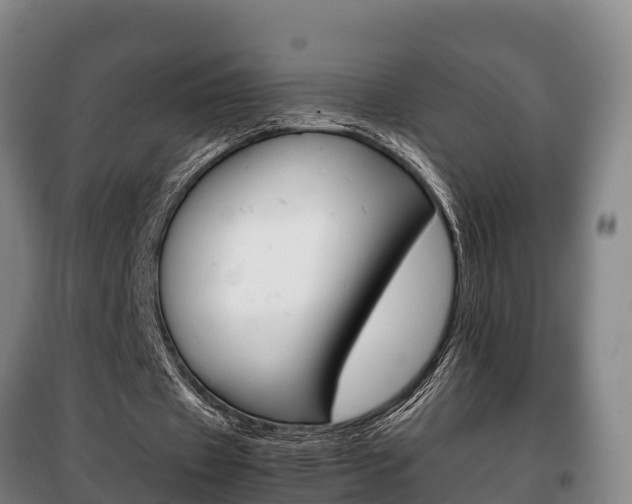 X0000100420433200806060952