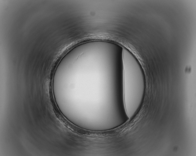 X0000100420434200806060952