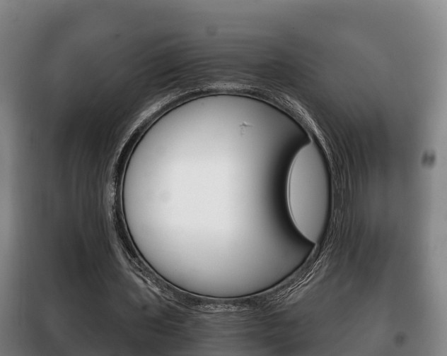 X0000100420435200806060952