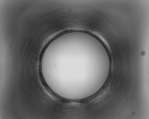 X0000100420437200806060952