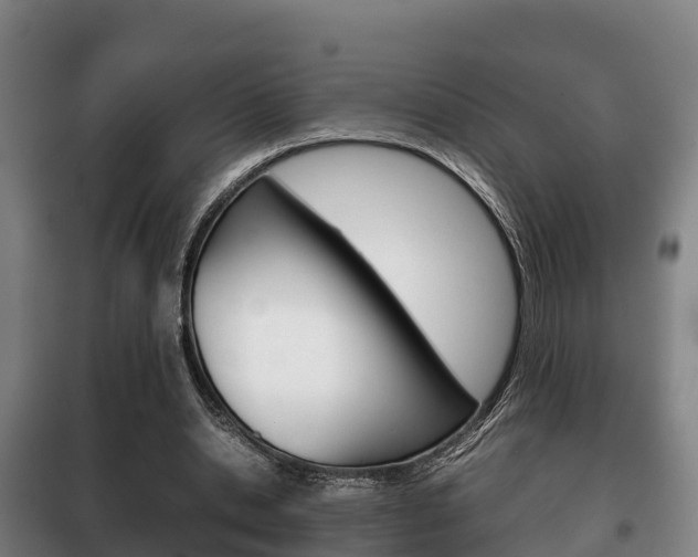 X0000100420438200806060952
