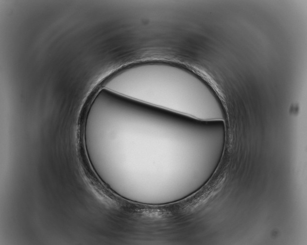 X0000100420439200806060952