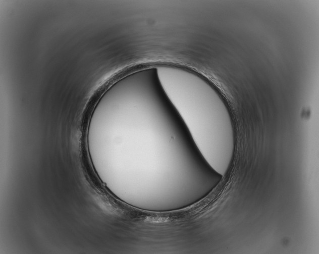 X0000100420440200806060952