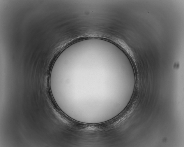 X0000100420441200806060952