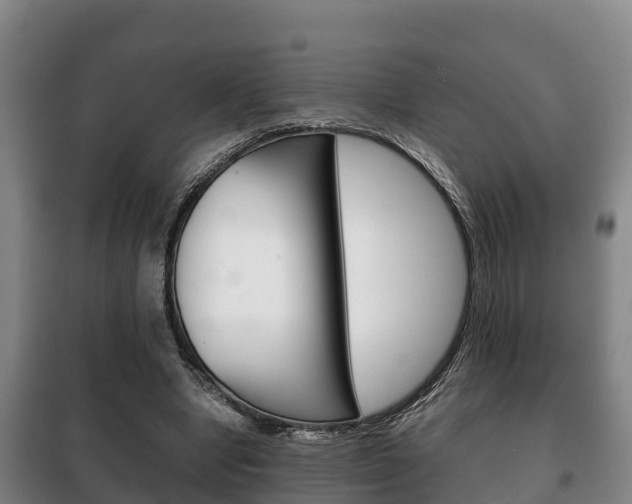 X0000100420442200806060952