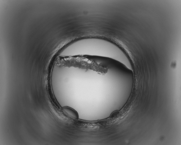 X0000100420443200806060952