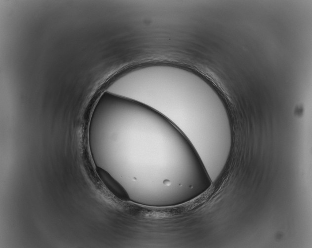X0000100420444200806060952