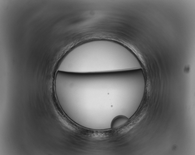 X0000100420445200806060952