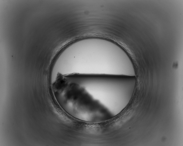 X0000100420446200806060952