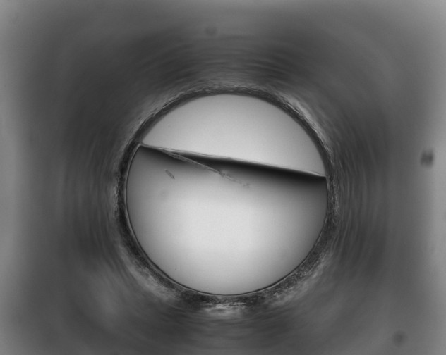 X0000100420447200806060952