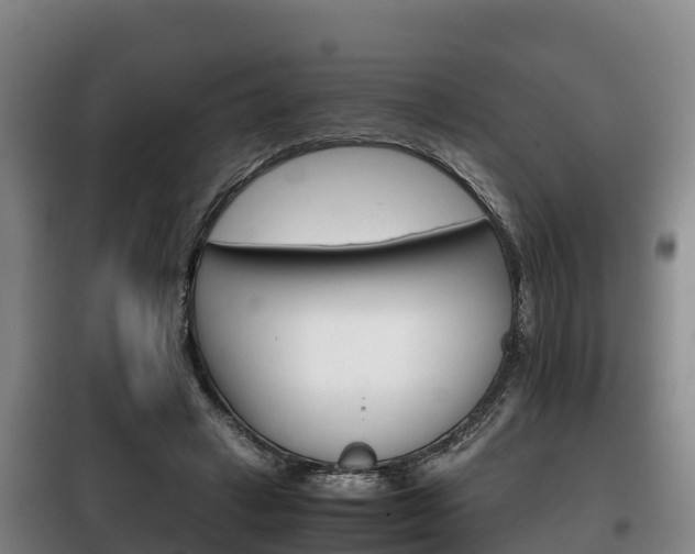 X0000100420449200806060952