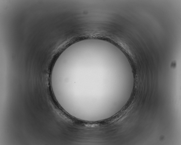 X0000100420450200806060952