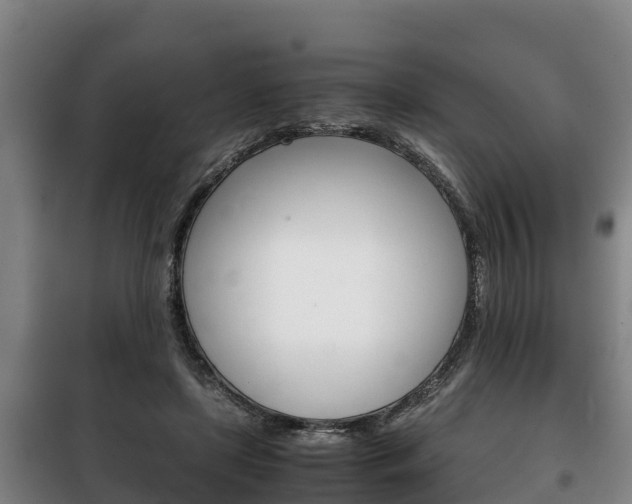 X0000100420451200806060952
