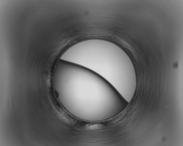 X0000100420452200806060952