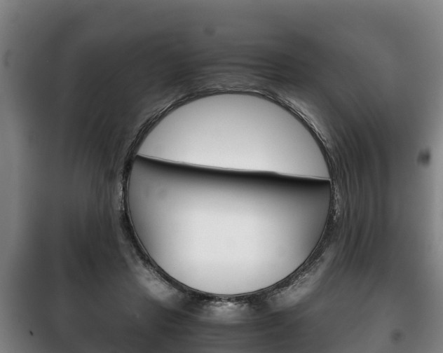 X0000100420453200806060952