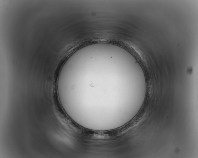 X0000100420455200806060952
