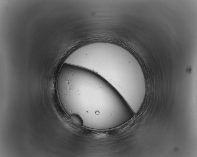 X0000100420456200806060952