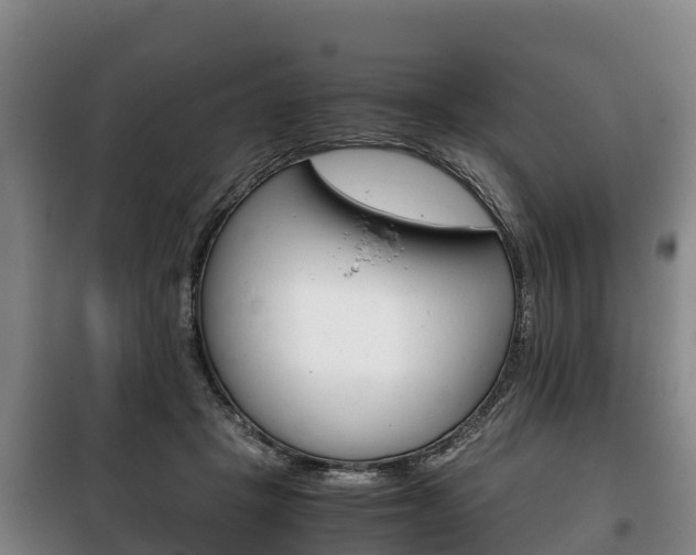 X0000100420457200806060952