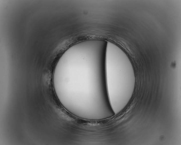 X0000100420458200806060952