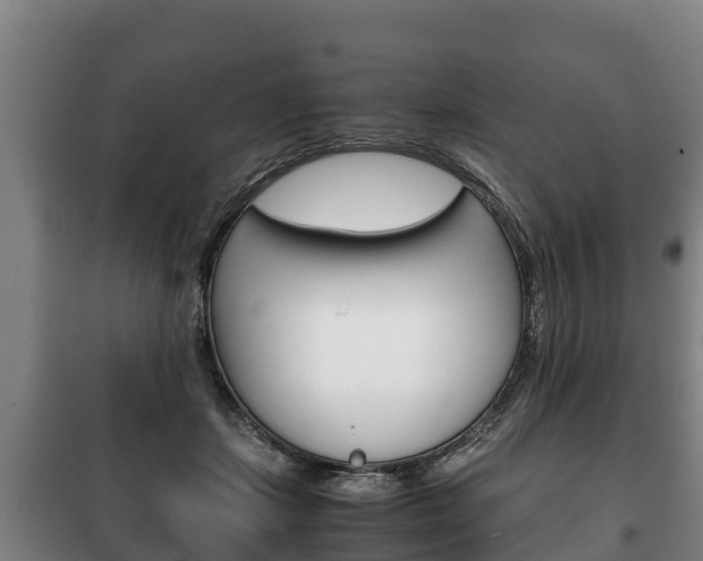 X0000100420459200806060952