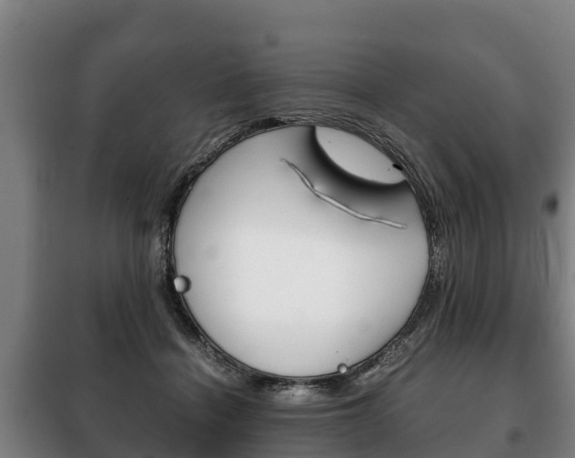 X0000100420460200806060952