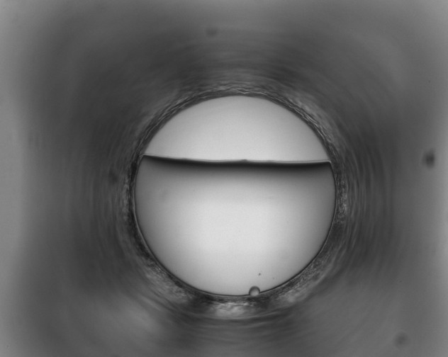 X0000100420461200806060952