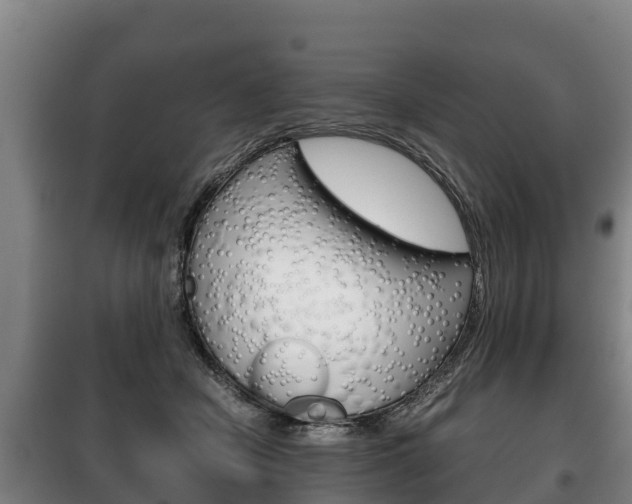 X0000100420462200806060952