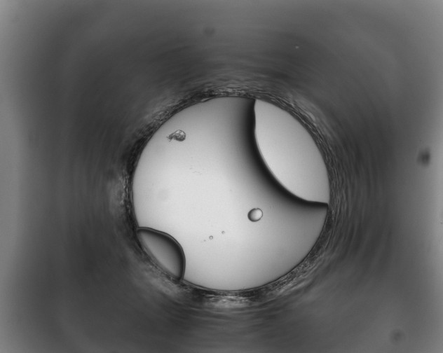 X0000100420463200806060952