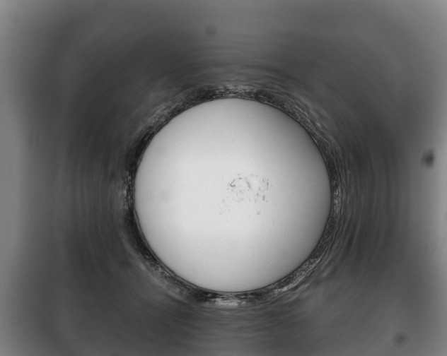 X0000100420464200806060952