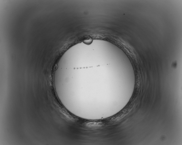 X0000100420465200806060952