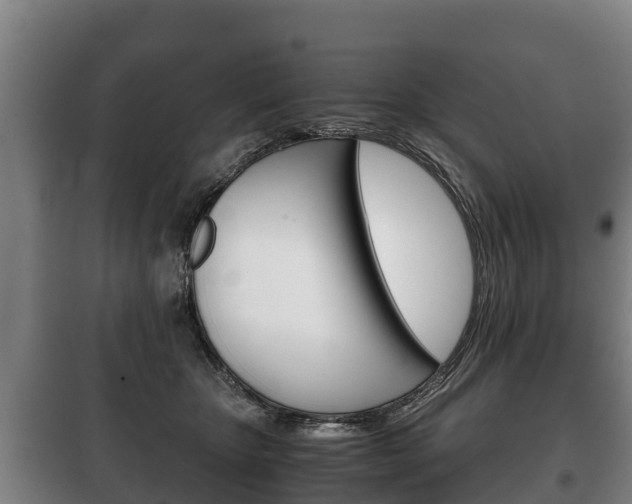 X0000100420467200806060952