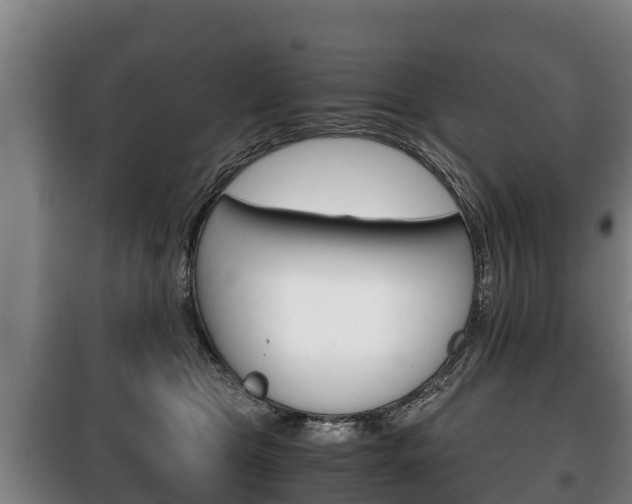 X0000100420469200806060952