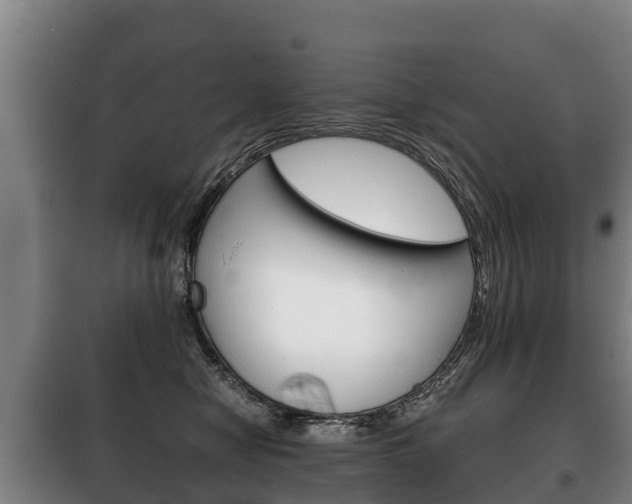X0000100420470200806060952