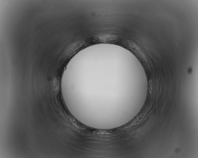 X0000100420471200806060952