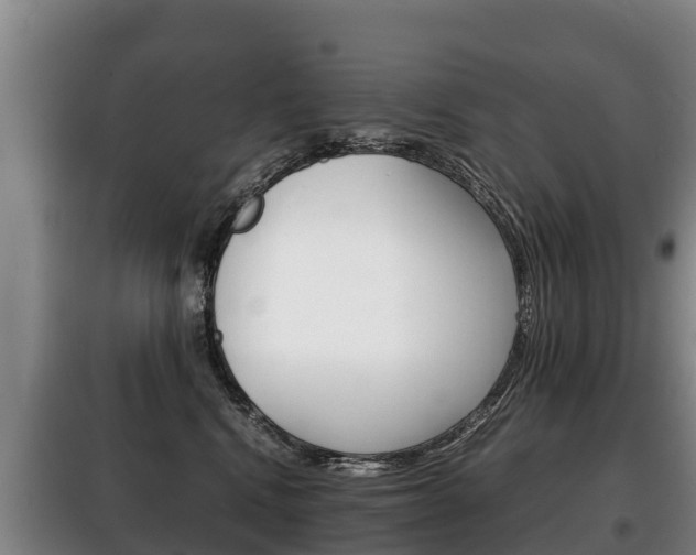 X0000100420472200806060952