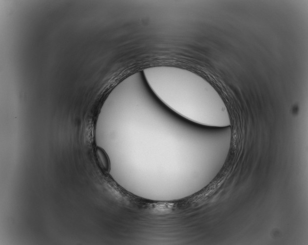 X0000100420474200806060952