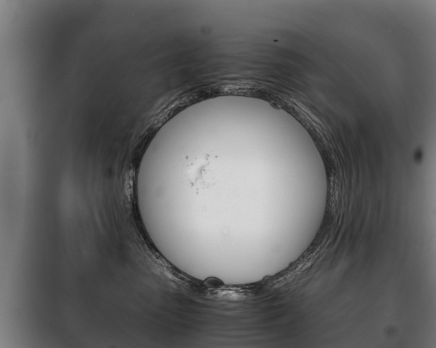 X0000100420475200806060952