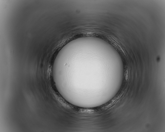 X0000100420476200806060952