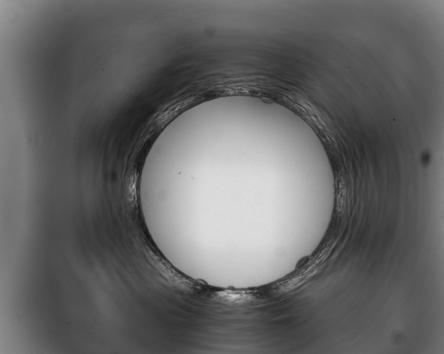 X0000100420477200806060952