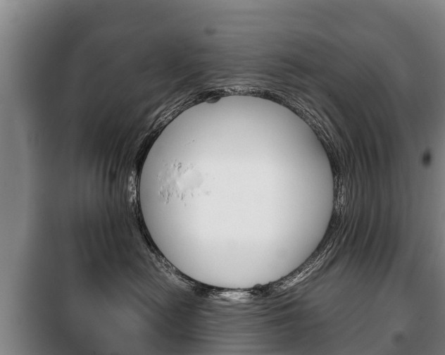 X0000100420478200806060952