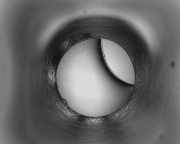 X0000100420479200806060952