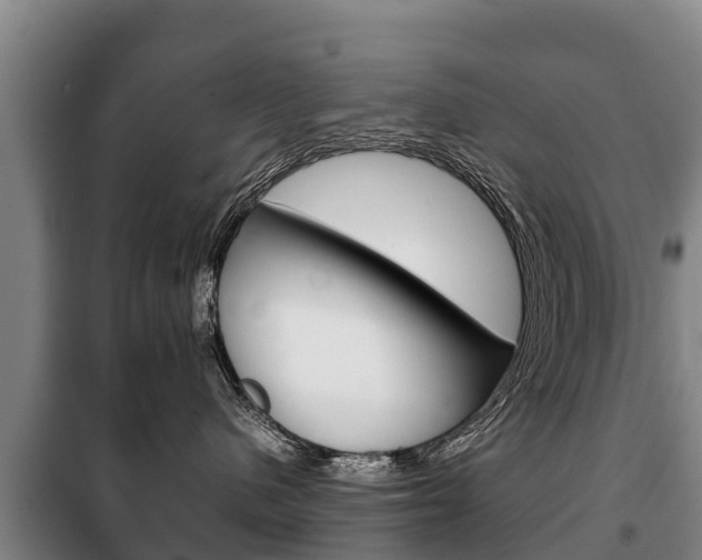X0000100420480200806060952