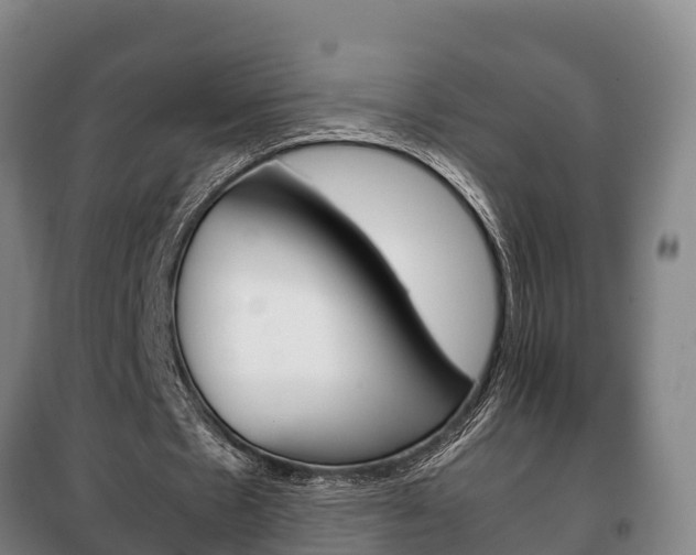 X0000100420481200806060951