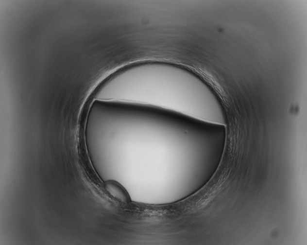 X0000100420484200806060951