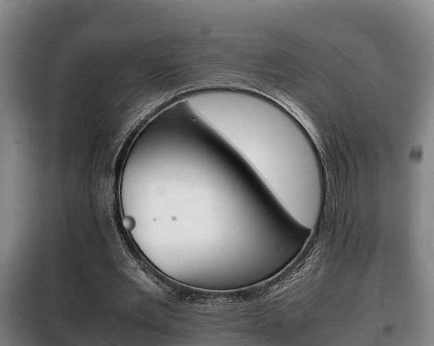 X0000100420485200806060951