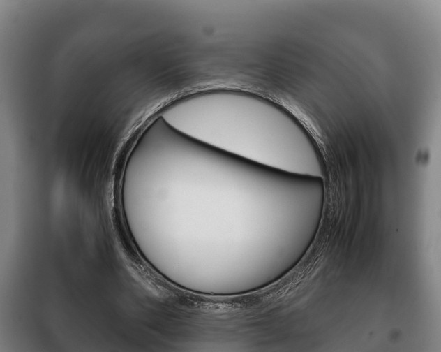 X0000100420486200806060951