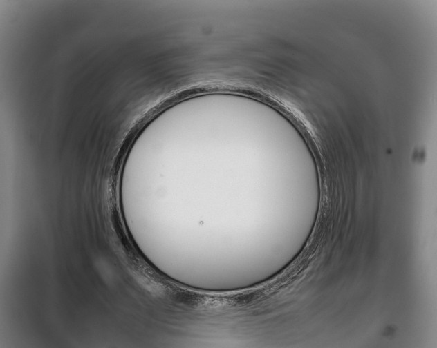 X0000100420487200806060951