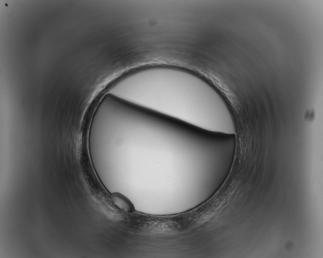 X0000100420488200806060951