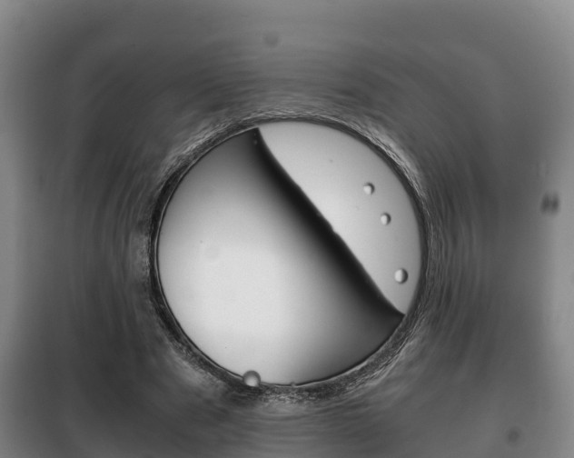 X0000100420489200806060951
